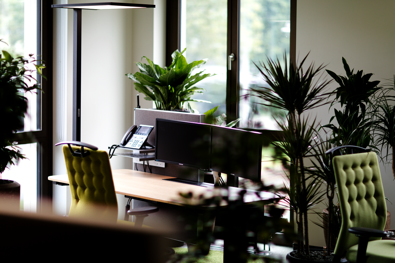 Ein grünes Büro – gestaltet mit WINI Büromöbeln