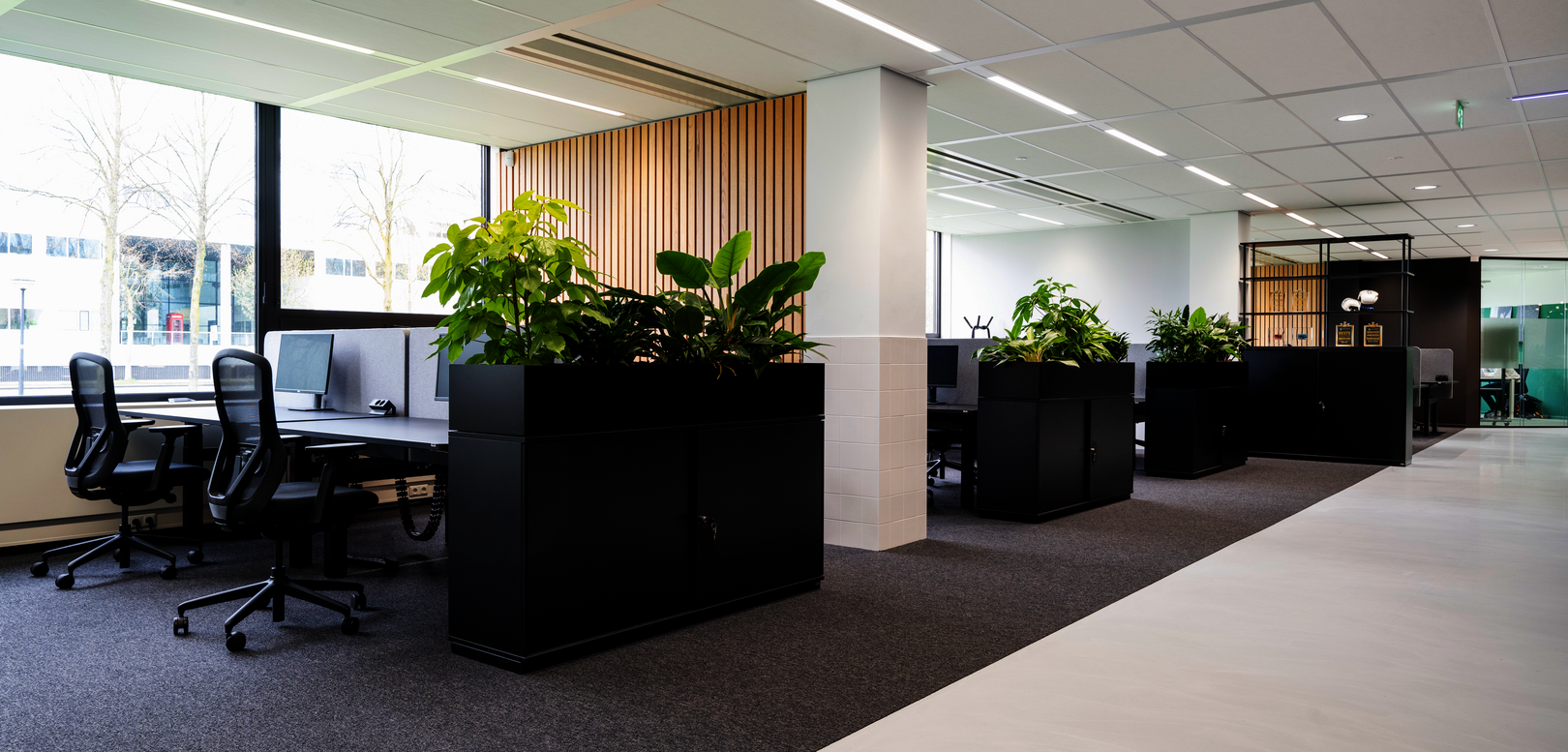 WINI Referenz Decathlon, Amsterdam, WINEA ELEMENTS