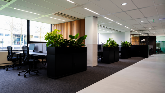 WINI Referenz Decathlon, Amsterdam, WINEA ELEMENTS