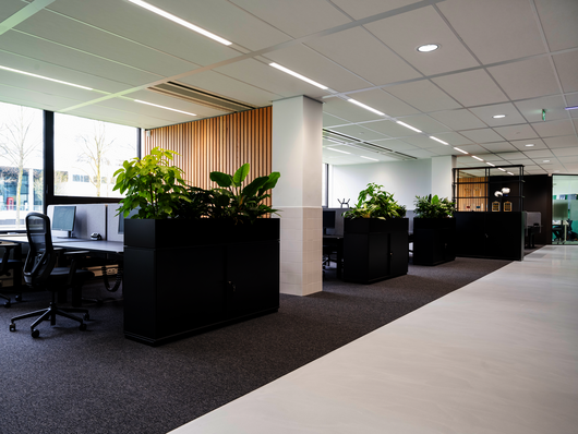 WINI Referenz Decathlon, Amsterdam, WINEA ELEMENTS