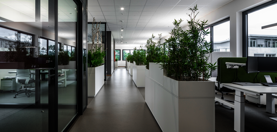 WINI WINEA ECO Doppelarbeitsplatz mit H-Fuß und WINEA SINUS Akustikpaneel und CONTAINER als Stauraum mit WINEA ELEMENTS mit Pflanzaufsatz WINI REFERENZ Apetito, Rheine – Open Space