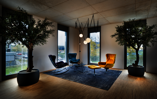 Relaxed seating area with chairs and plants