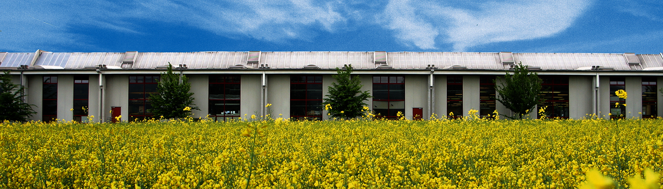 WINI BÜROMÖBEL Werk in Marienau, Produktionshalle im Grünen