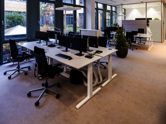 WINI Referenz cosnova